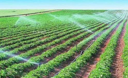 肏骚逼视频软件农田高 效节水灌溉